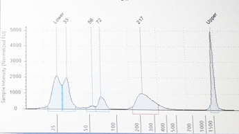 Click image for larger version  Name:	Tagmentation.png Views:	0 Size:	79.5 KB ID:	322056