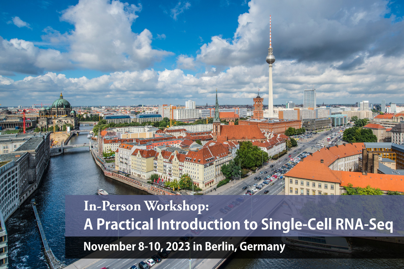 Click image for larger version

Name:	singlecell-berlin.jpg
Views:	476
Size:	520.9 KB
ID:	325060