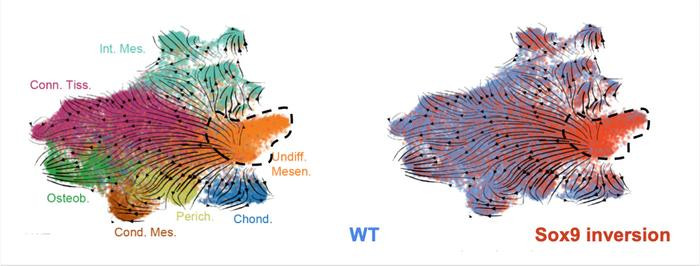 Click image for larger version

Name:	Low-Res_RNA 1_SPielmann.jpg
Views:	147
Size:	55.9 KB
ID:	325261