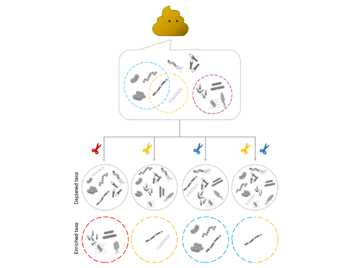 Click image for larger version  Name:	FIG 1b.png Views:	0 Size:	116.9 KB ID:	325359