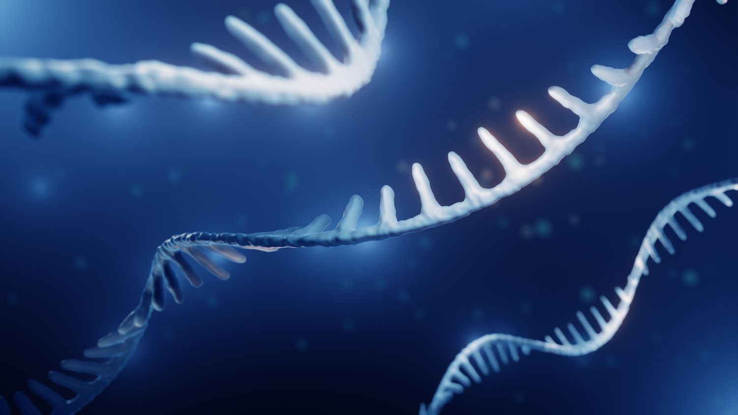Click image for larger version  Name:	mRNA article image.jpg Views:	0 Size:	113.3 KB ID:	325961
