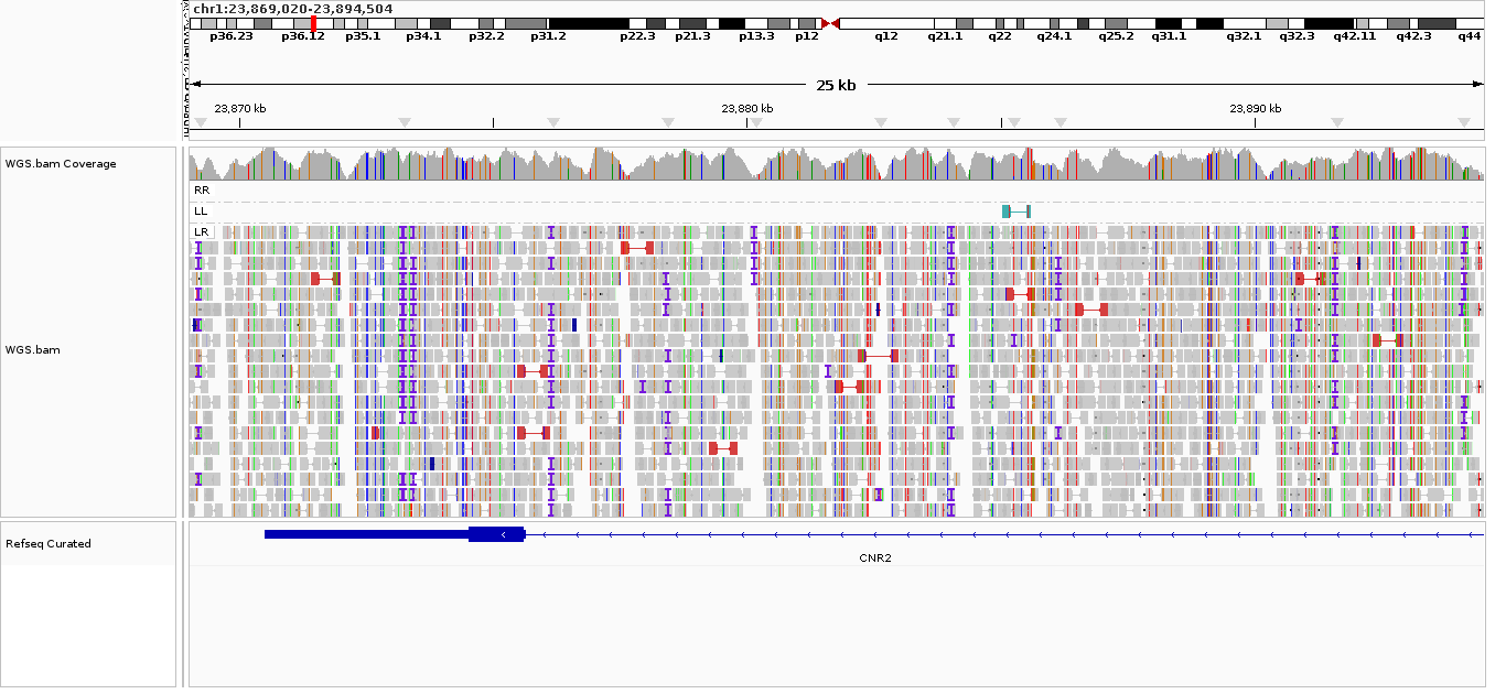Click image for larger version

Name:	CNR2.png
Views:	691
Size:	69.9 KB
ID:	326269
