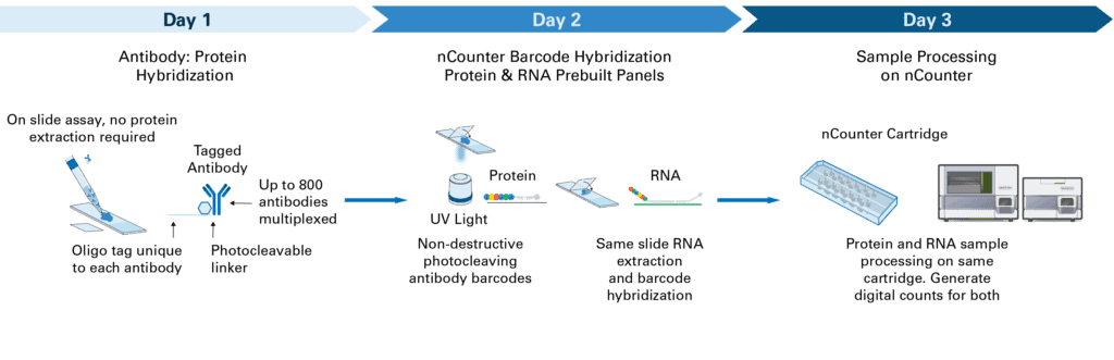 A Streamlined Approach to Bulk RNA and Protein Multiomics Profiling ...