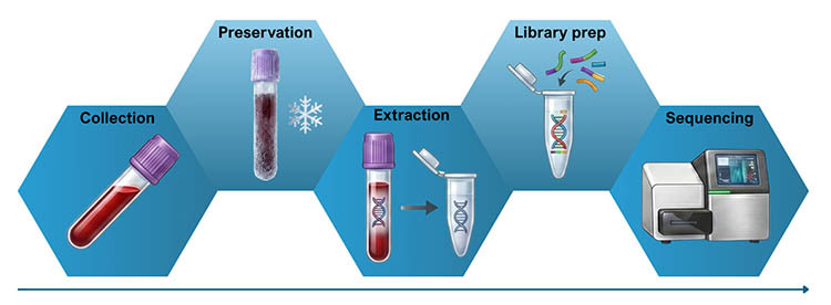 The steps that samples go through, from collection to achieving sequencing data.