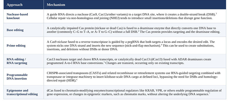 CRISPR approaches