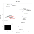 PCA.png